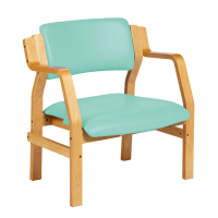 Aurora Bariatric Arm Chair - Mint