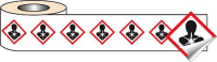 250 S/A labels 50x50mm GHS Label - Health Hazard