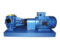 North Ridge NR-RPP Rotary Piston Pumps - Thermal Oil Transfer Apllication