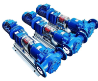 North Ridge MFIG180L Magnetically Coupled Internal Gear Pump with Extended Gear Length and In-Line Flange Connections For Wastewater Treatment Industry