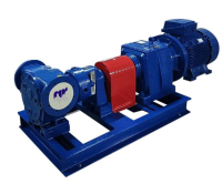 North Ridge FIG180CL Close Coupled Internal Gear Pump with Extended Gear Length and In-Line Flange Connections For Wastewater Treatment Industry