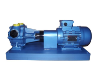 North Ridge NR-RPP Rotary Piston Pumps For Wastewater Treatment Industry