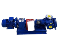 North Ridge FIGInternal Gear Pump with 90&#176; Flange Connections For Wastewater Treatment Industry