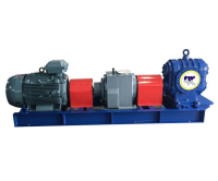 North Ridge HGP Helical Gear Pumps For Wastewater Treatment Industry