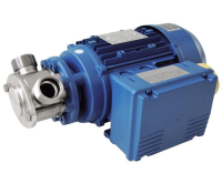 North Ridge Miniverter Flexible Impeller Pump For Wastewater Treatment Industry