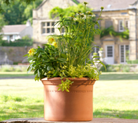 Suppliers Of Clay Flowerpots For Garden Centres 