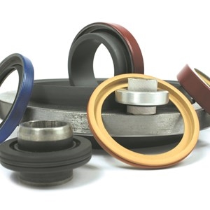 Rotary Shaft Seals