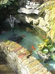 Pond Clean and Maintenance