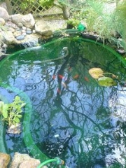 Pond Cleaning London