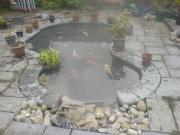 Garden pond design
