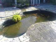 Water quality check for ponds