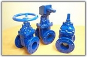 Resilient Seated Wedge Gate Valves 