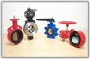 Semi&#45;lugged Butterfly Valves