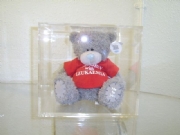 bear in display box