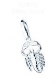 Zodiac Charms