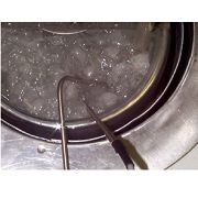 Calibration Environmental