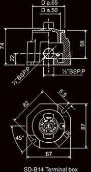 Float switches 