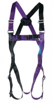 Rear D Safety Harness