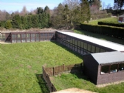 Dog Kennels and Catterys Design, Build and Installation, East Anglia