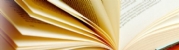 24hr Thesis Service