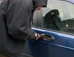 Vehicle Theft Reports
