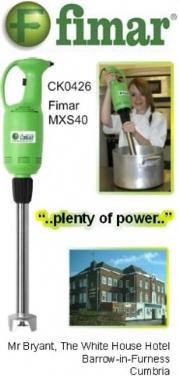 CK0426 Fimar MX40S Fixed Speed Stick Blender