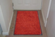 Tri Grip Home for Carpeted Floors