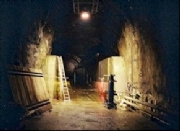 Tunnel Monitoring Surveys