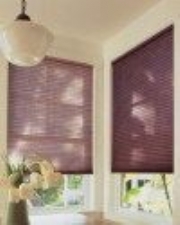 blinds and shutters information source