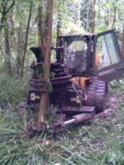 Tree Clearance Services