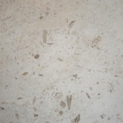 Leiria Beige honed Limestone tile 