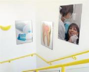 Dental signage in stairwells and corridors