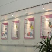 Flexible educational poster displays