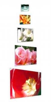 Acrylic Poster Holders&#45;Landscape