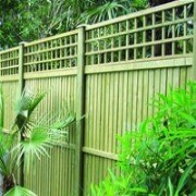 Trellis Fencing