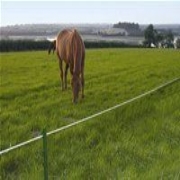 Electric Agricultural Fencing