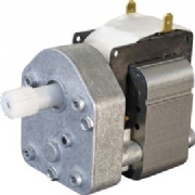 Geared Electric Motors