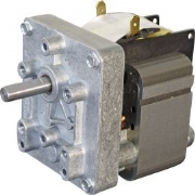 Geared Electric Motors