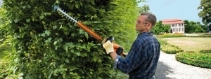 Stihl Hedge Trimmers 