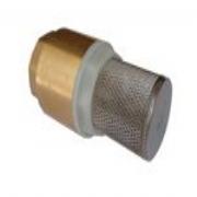 Non Return Valve &#40;Brass&#41; 1 BSPP with Strainer