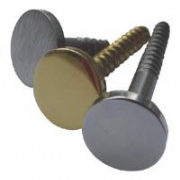 Display Screw with Flat Screw in Cap