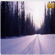 Road Gritting Services, Sussex