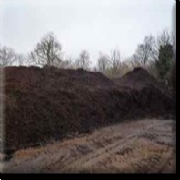 Equine manure, West Sussex