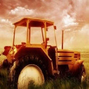 Paddock Cleaning System, Sussex