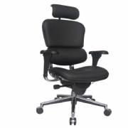 Ergohuman Leather Task Chair