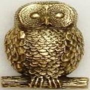 Brass Owl Knocker