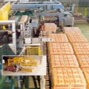 Robotic Palletizers