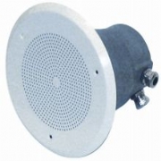 Flush Mounting Ceiling Speakers