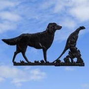 Gun Dog & Pheasant Black Weather Vane