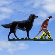 Hand Painted Gun Dog & Pheasant Weather Vane